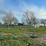 Mobil Confort Avec Terrasse - 4 Pers. - Api-1-52-1690 Arvert